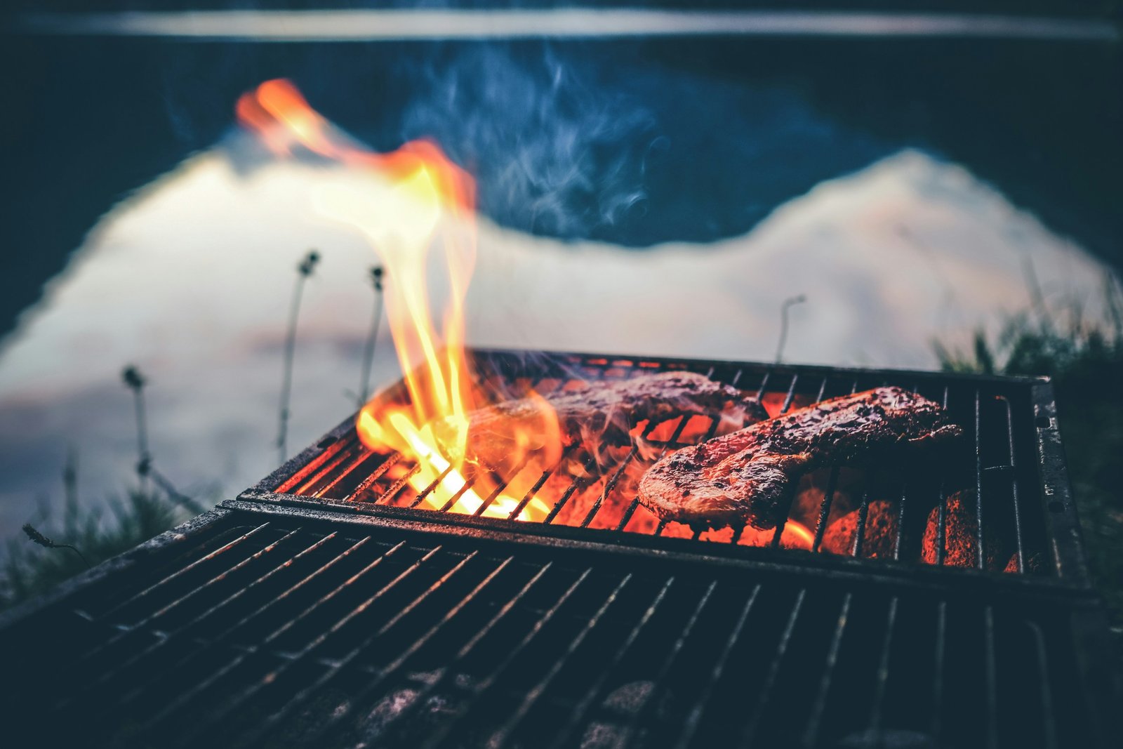 Premium BBQ meat cuts on grill